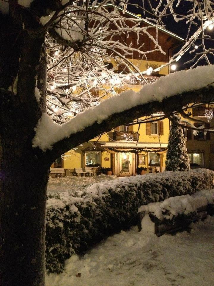 Hotel Juventus Auronzo di Cadore Exterior photo